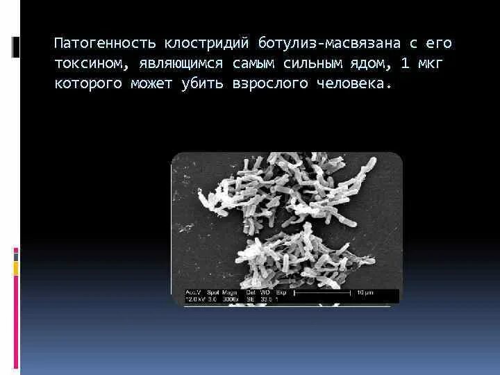 Сильным ядом является