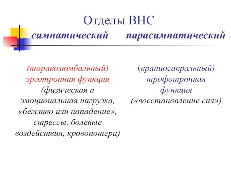 Какие функции регулирует симпатический отдел нервной системы. Функции вегетативной нервной системы. Эрготропная функция симпатической системы. Эрготропная функция симпатической нервной системы. Эрготропная и трофотропная функция.