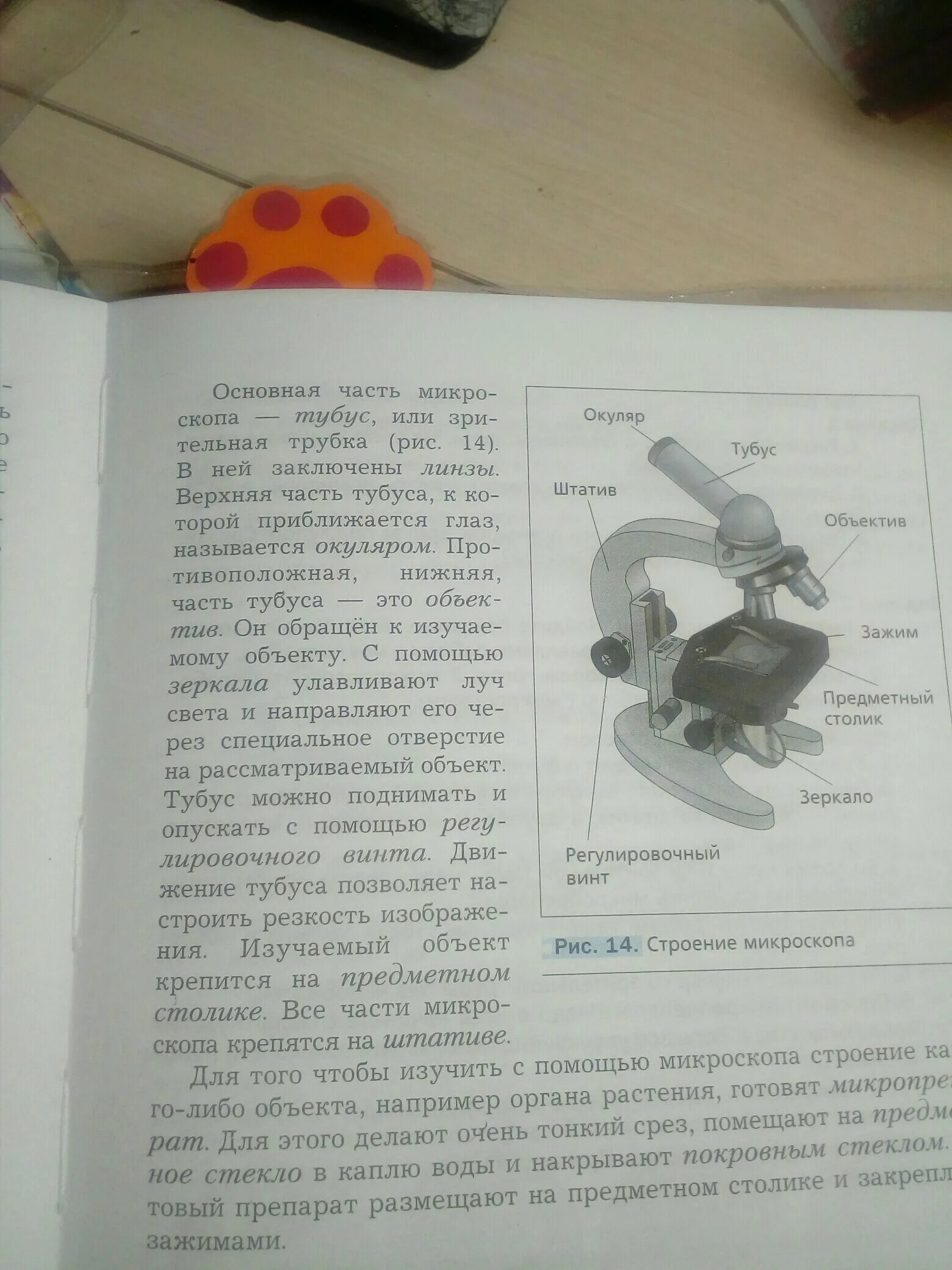 Зачем микроскопу тубус. Функция предметного столика в микроскопе. Тубус микроскопа. Линзы в тубусе микроскопа. Тубус, окуляр, штатив., объектив часть микроскопа.