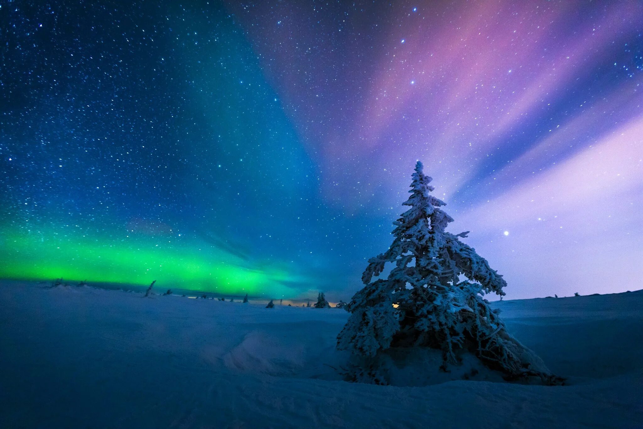 Северное сияние. Зима Северное сияние. Северное сияние зимой. Северное сияние небо. Сияние в сугробе