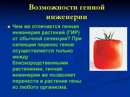 Методы клеточной и генной инженерии