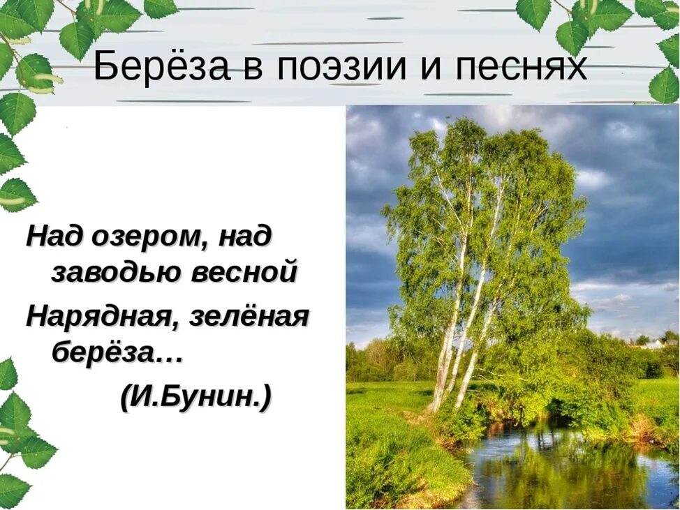 Детские песни березка