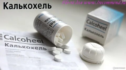 Калькохель отзывы