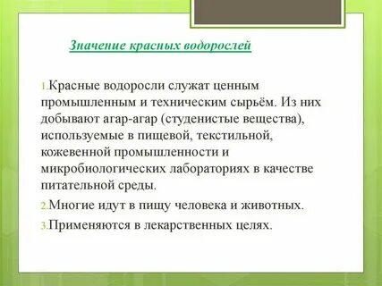 Значение в природе красных водорослей кратко