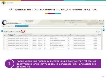 Проверка планов закупок