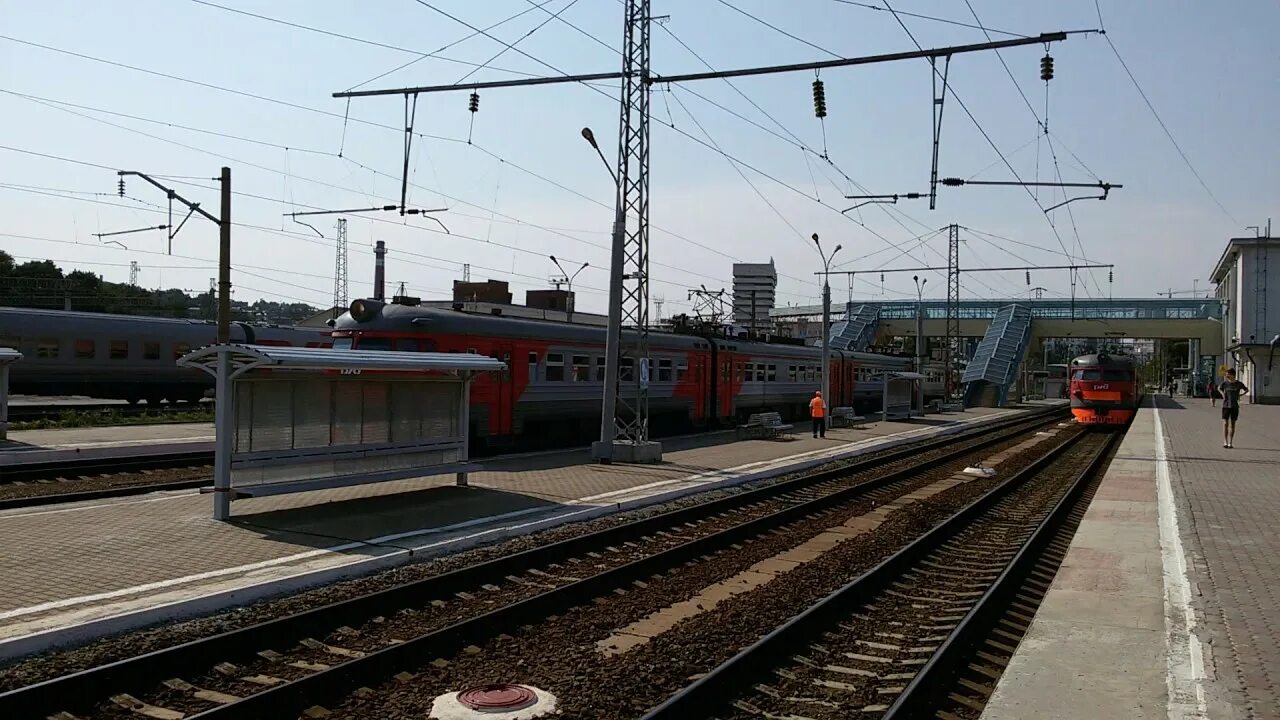 Поезд сальск петербург