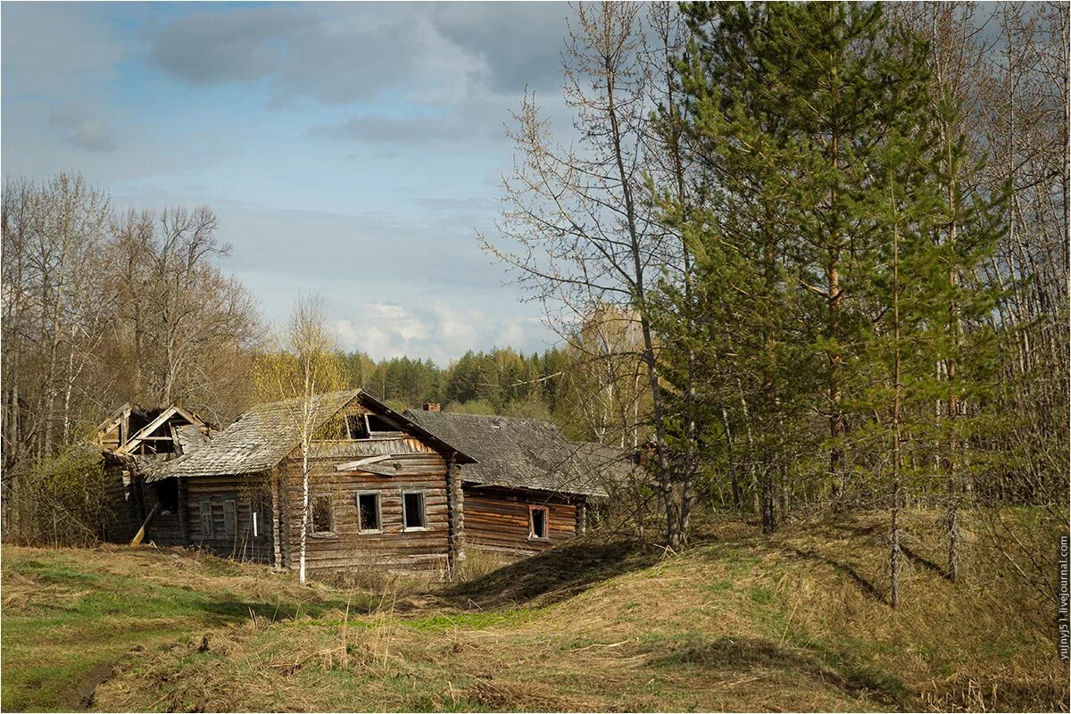 Район заброшенные деревни. Заброшенные деревни Удмуртии. Заброшенные деревни Завьяловского района Удмуртии. Полновская волость заброшенные деревни. Заброшенные деревни Лодейнопольского района.