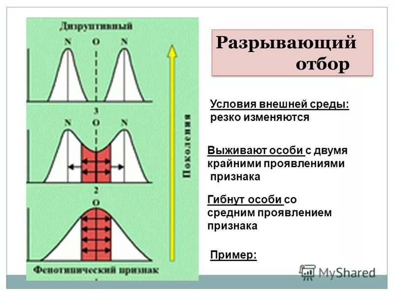 Резкое изменение условий среды