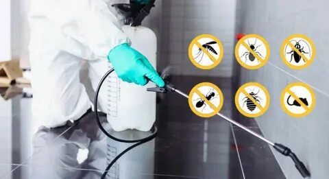 Friendly pest control technician helping a homeowner