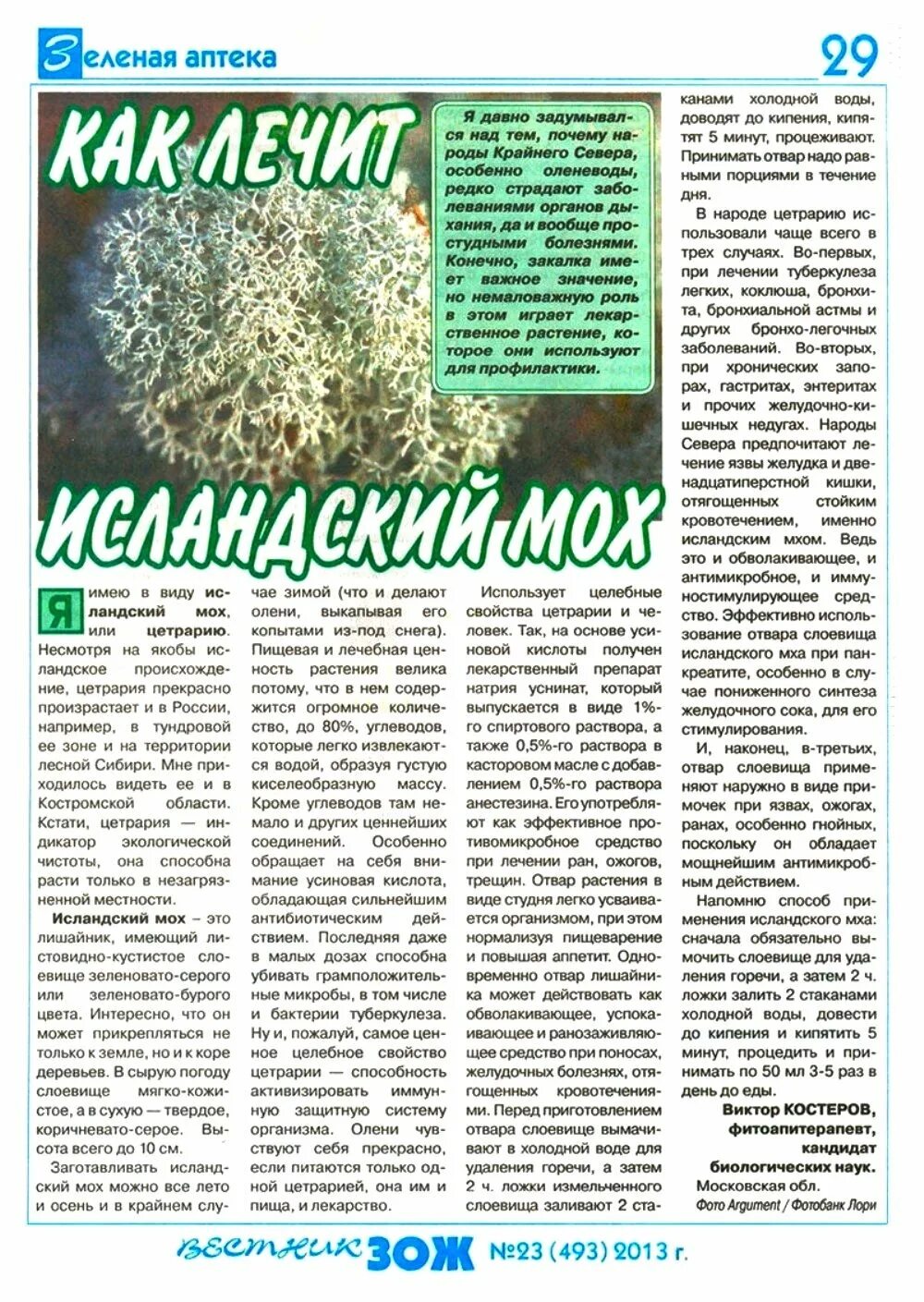 Как принимать исландский мох от кашля взрослым. Трава исландский мох от кашля. исландский мох инструкция. исландский мох инструкц. как пить исландский мох.