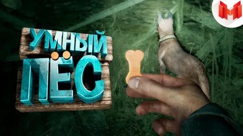 Мармок дзен