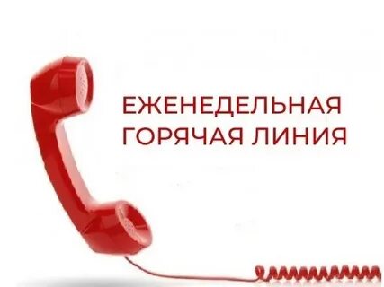 Фонд позвони