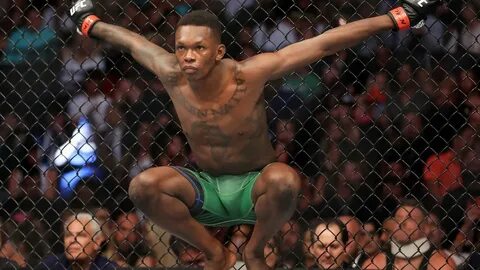 Адесанья ufc