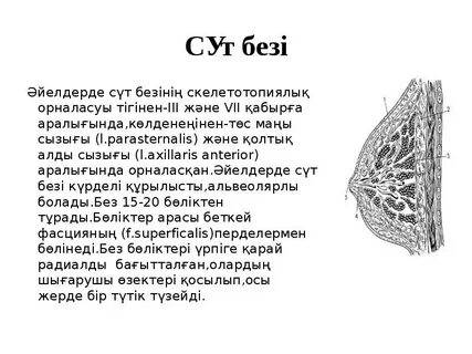 Жасында шашы бар видео