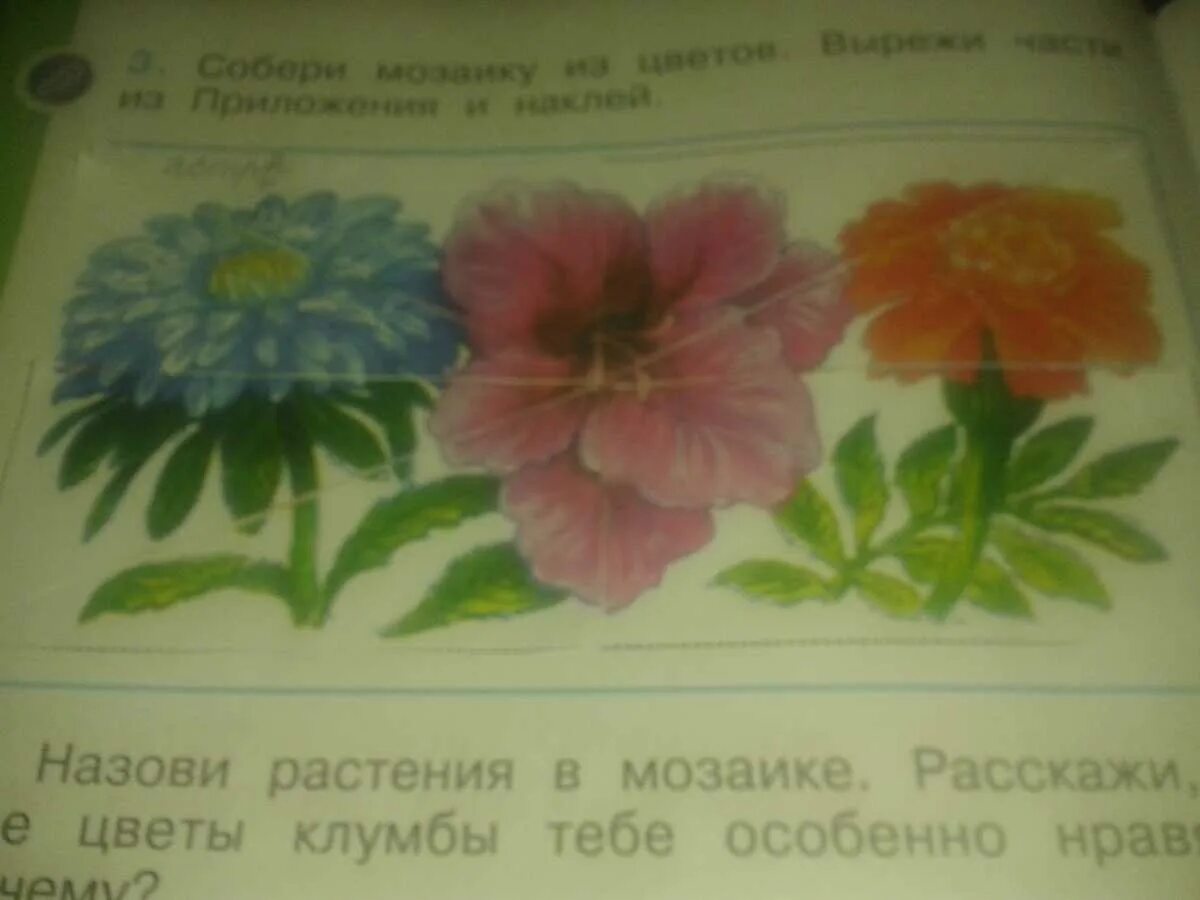 Тетрадь по окружающему миру 1 класс. Мозаика из цветов окружающий мир 1. Собери мозаику из цветов. Окружающий мир собери мозаику из цветов. Практическая работа определяем растения клумбы.