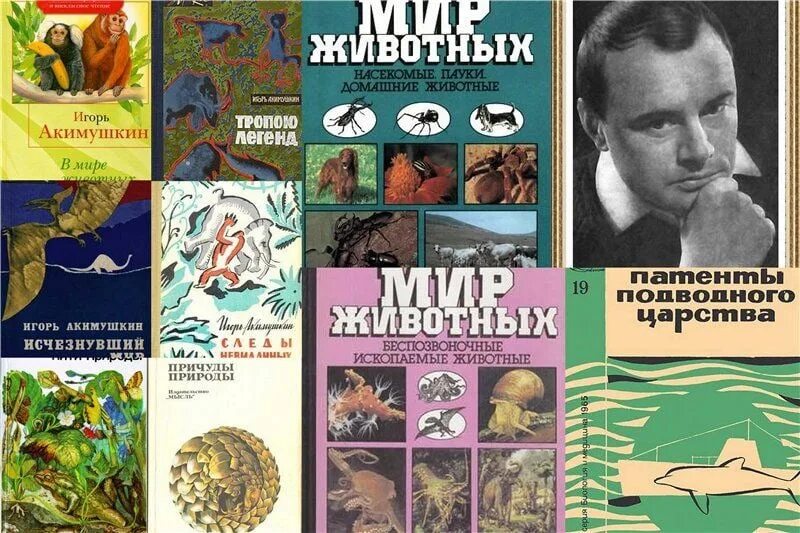 Плакаты для кабинета биологии. Ученые биологи. Портреты для кабинетов биологии. Известные ученые в биологии. Медведь ученый-биолог.