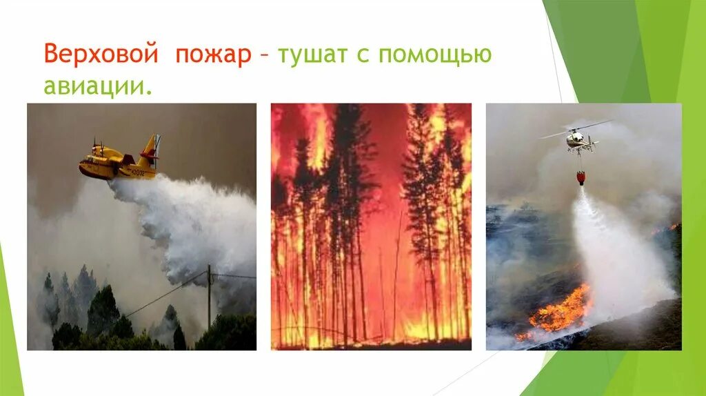 Верховой пожар наиболее опасен ответы. Верховой пожар с пожарными. Пожар тушат с помощью авиации. Как тушить верховой пожар. Чем тушат верховой пожар.