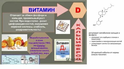 Роль витаминов в химии