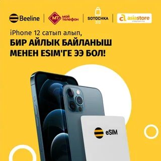 Beeline 12