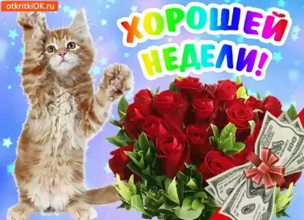 Начало рабочей недели картинки