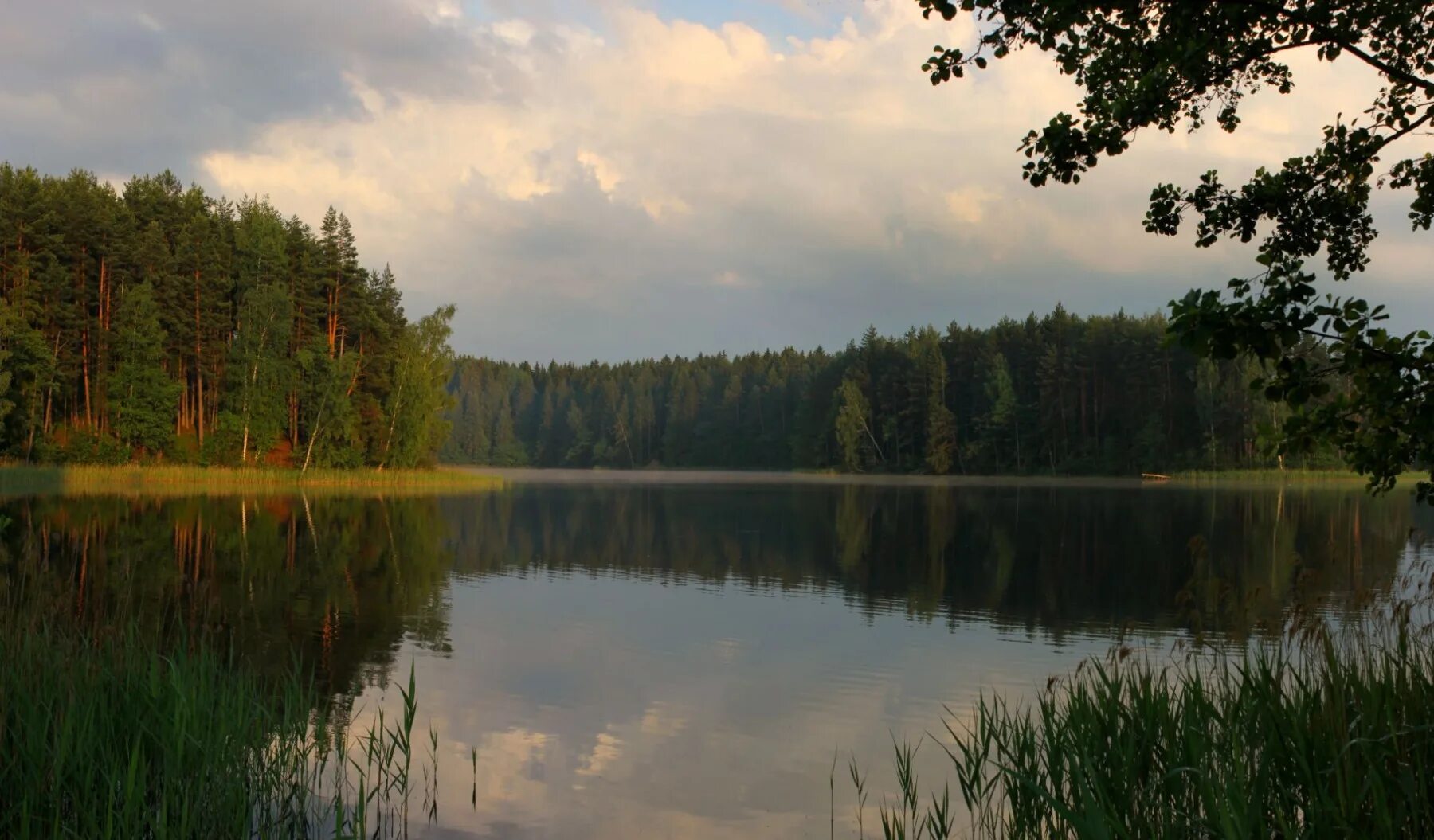 Кривое (озеро, Витебская область). Озеро Кривое Новосибирская область. Озеро Кривое Новосибирск рыбалка. Озеро Кривое Беларусь.