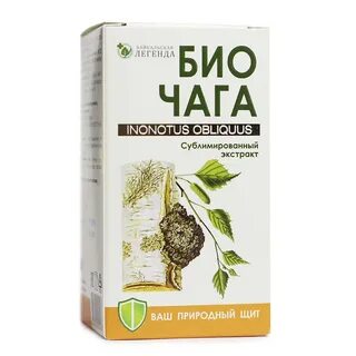 Экстракт чаги отзывы