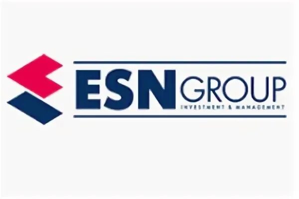 Сайт организации группа. Группа компаний ЕСН. ЕСН логотип. ESN групп.