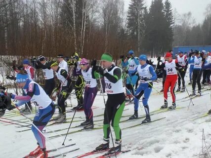 Роща прокат