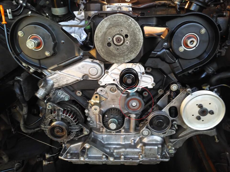 5 tdi ремень. грм а6 с5 2. грм ауди 2. ремень грм ауди а6 с5 2. грм а6 с5 2.