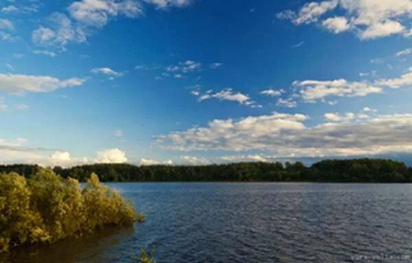 Можайское водохранилище. Цветковский Можайское водохранилище. Можайское водохранилище фото. Можайское водохранилище август. Клев можайск