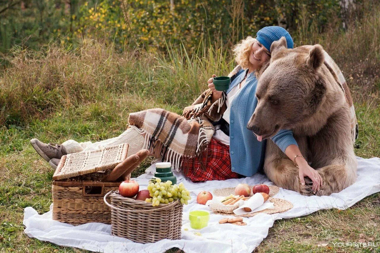 Приколы русских животных. Медведь на пикнике. Русский медведь. Пикник мишек. Смешной медведь.