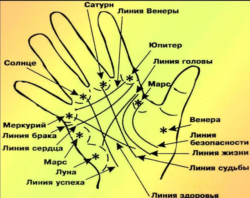 Хиромантия что означают линии. Хиромантия обозначение линий на ладони. Схема ладони в хиромантии. Линии правой руки расшифровка