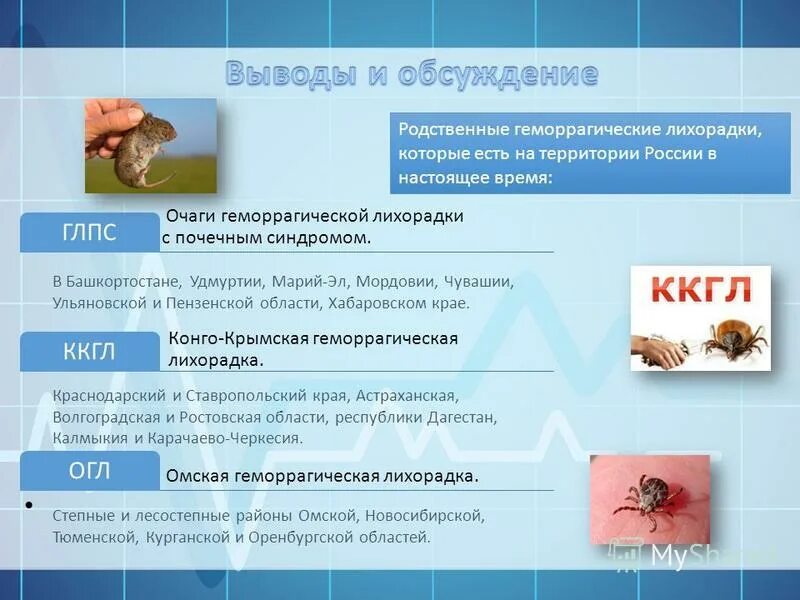 Лихорадка марбург клинический случай. Геморрагическая лихорадка презентация. Геморрагическая лихорадка презентация. Вирус марбурга симптомы. Геморрагическая лихорадка презентация.