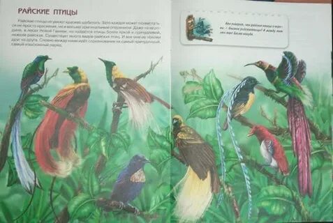В каких произведениях есть птицы