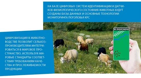 Цифровое животноводство