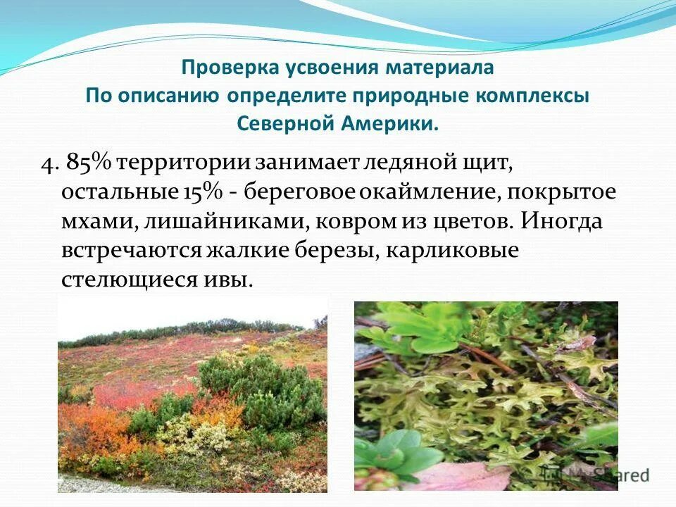 Определи по описанию каких природных. Окружающий тетрадь проверочные. Природные комплексы северной америки. Способы ориентирования на местности. Определи по описанию каких природных.