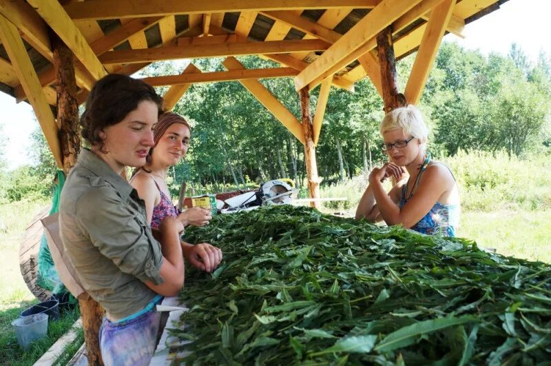Шульга экопоселения