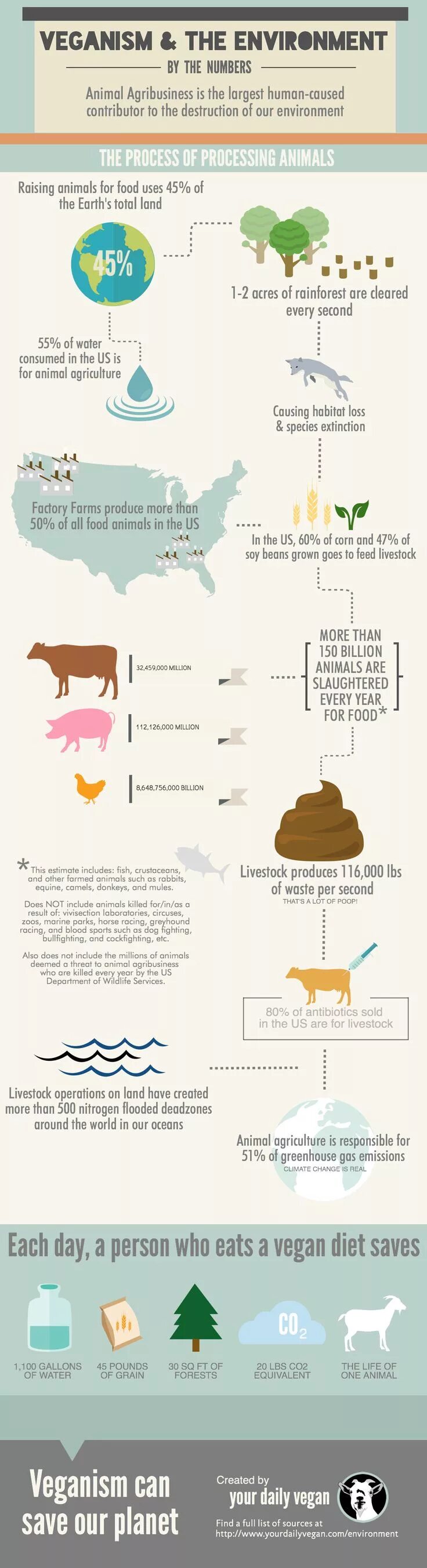 Processing of animals