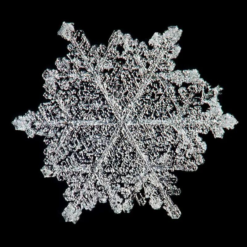 сигсон снежинки рыбинск. снежинка сестра снежинка. крупные снежинки. снежинка сестра снежинка. стих мы снежинки мы сестрички.