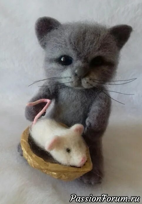 Котенок мышь. Котенок с мышкой. Котенок похожий на мышку. Кот похожий на мышонка. Котенок и мышонок.