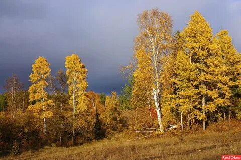 Осень на пороге слушать