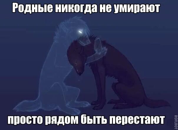 Буду я любить буду умирать
