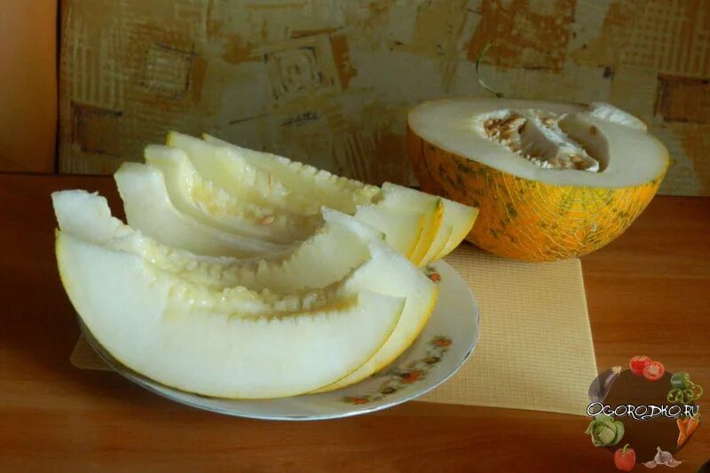 Что делать если дыня несладкая. Дыня сорт медок. гавриш дыня медок. дыня капуччино &quot;нк&quot;. что можно сделать из несладкой дыни.