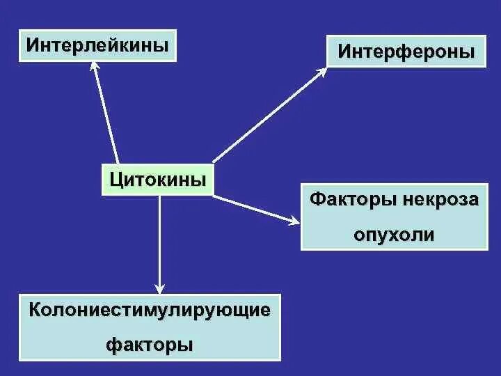 Интерлейкины. Цитокины функции. Цитокины регуляторы кроветворения. Ростовые факторы цитокинов. Роль цитокинов в формировании защитных реакций.