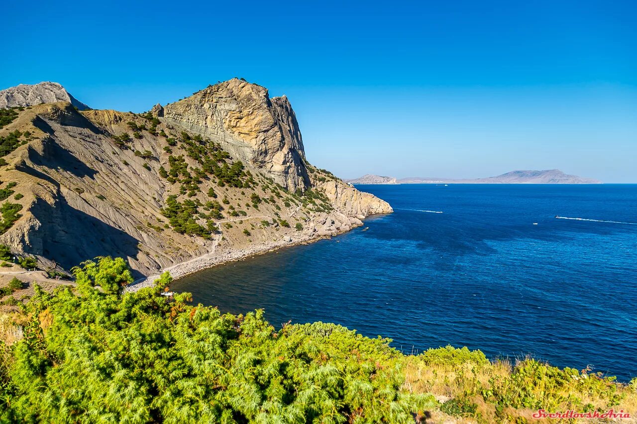 Субтропики в Крыму. Мыс Айя Крым. Южный берег Крыма (Южнобережье). ЮБК Южный берег Крыма. Сайт юга крым