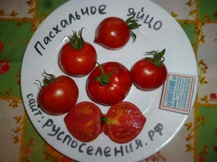 Томат пасхальное яйцо описание сорта