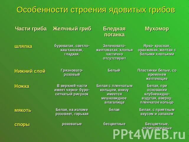 Основные признаки ядовитых грибов. Особенности строения ядовитых грибов. Особенности строения грибов таблица. Особенности строения несъедобных грибов. Отличительные признаки ядовитых грибов.