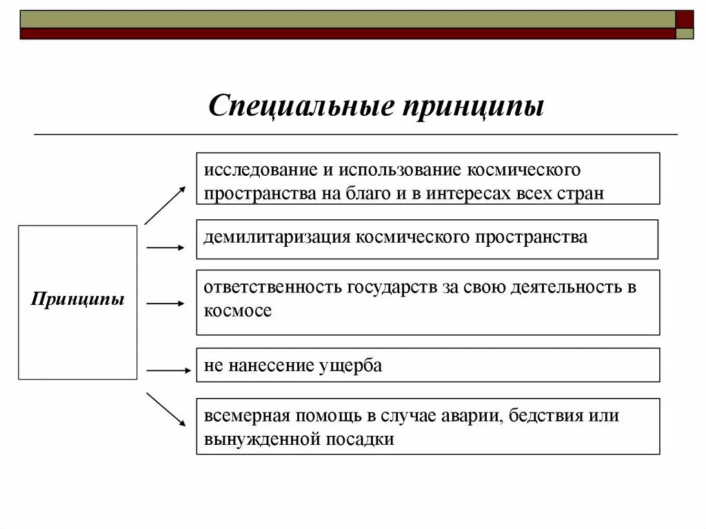 Специальные принципы. Принципы специального образования. Специальные принципы. Специальные принципы международного экономического права. Специальные принципы.