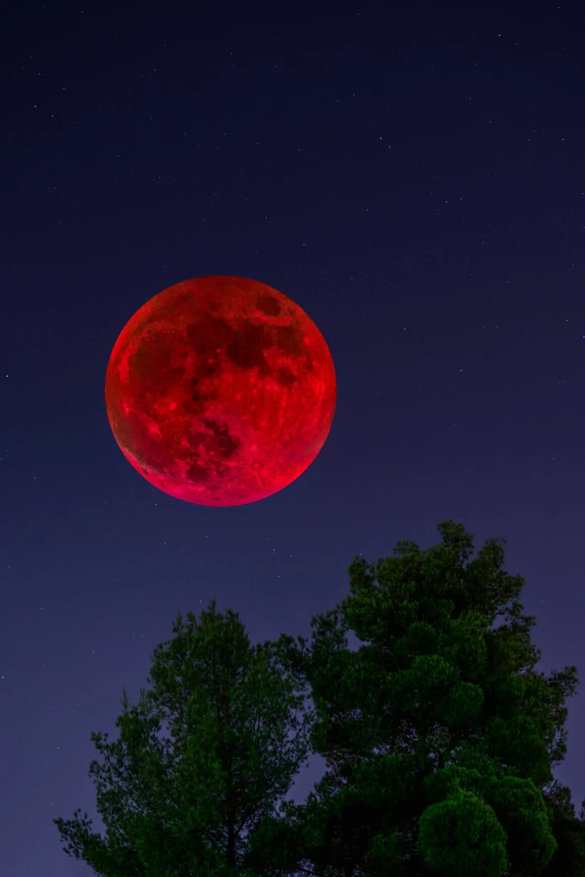 Кровавая луна почему. Кровавая Луна 2022. Красная Кровавая Луна. Кровавая Луна 2023. Кровавая Луна явление.