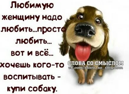 Картинки смысл жизни с надписями смешные